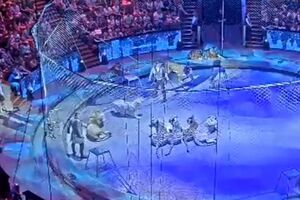 Дресирувальник Запашний: Був упевнений, що зараз вона мене порве!