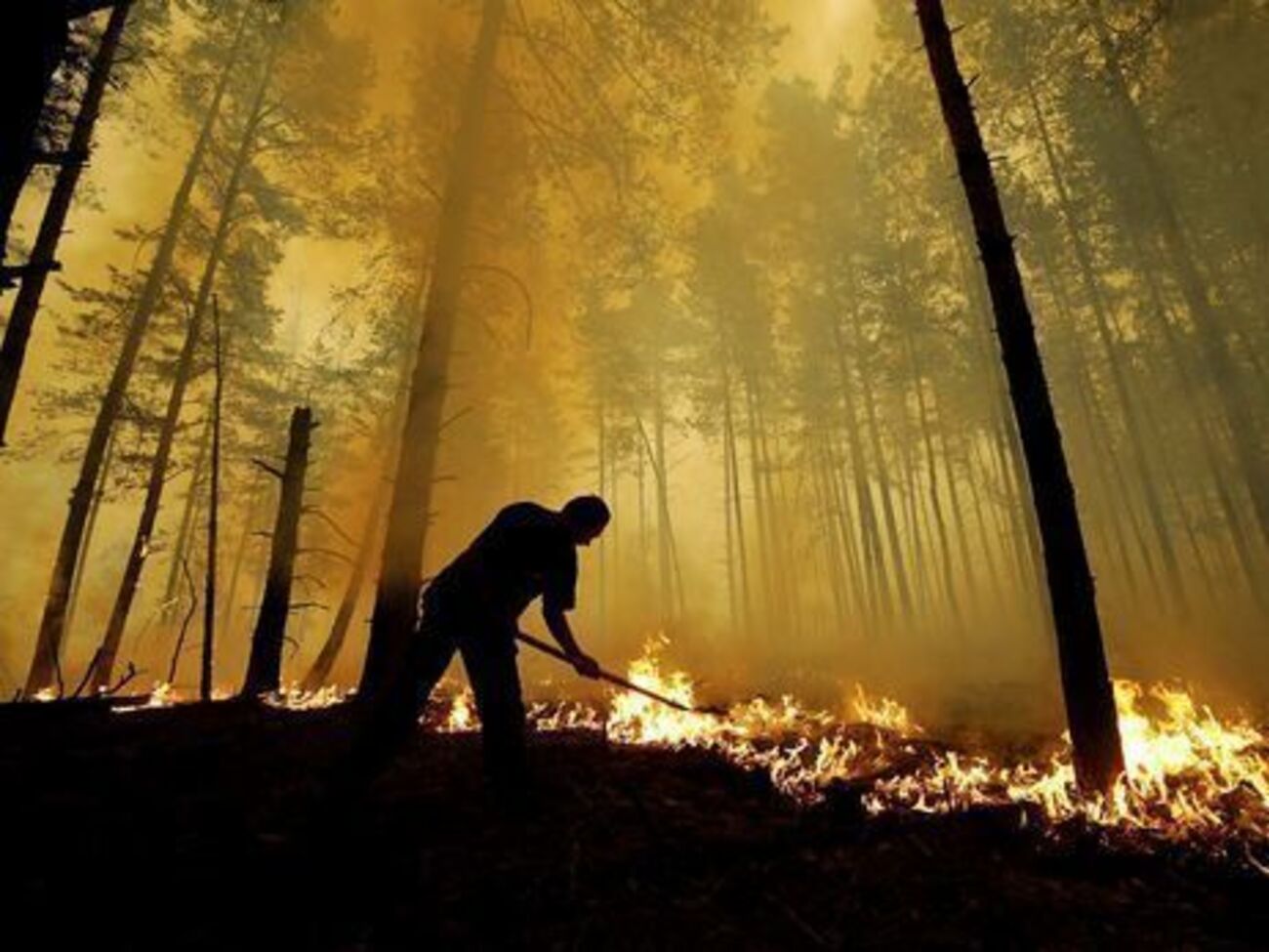 Сьогодні в Україні підвищена загроза пожеж