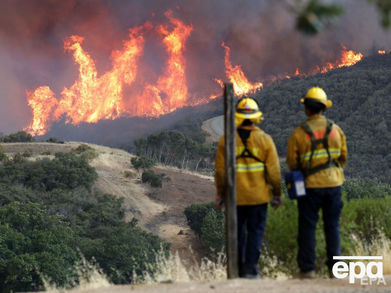 Гасіння ускладнюють спека, суха погода і сильний вітер