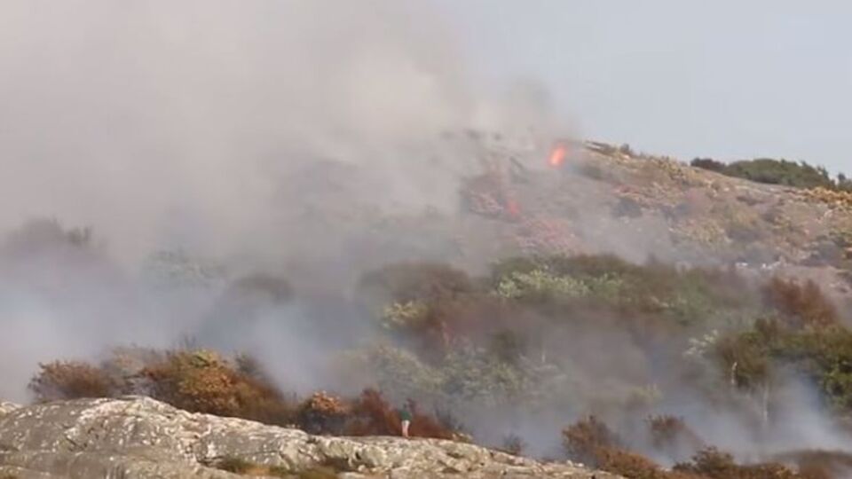 Во время пожара жителей острова эвакуировали