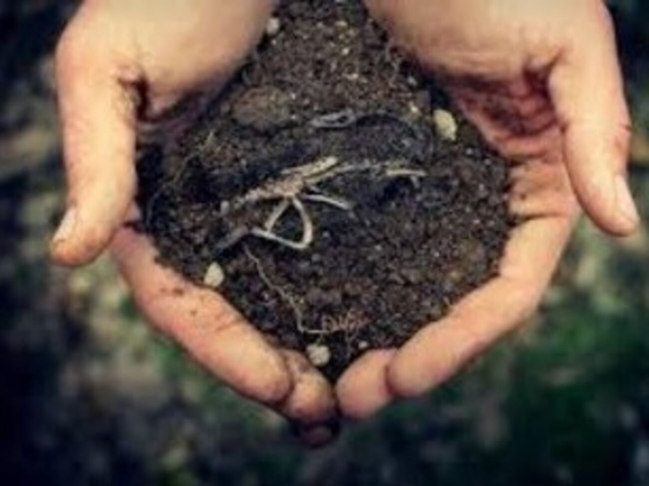 В Вашингтоне прощаются с Маккейном