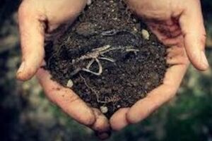 В Вашингтоне прощаются с Маккейном