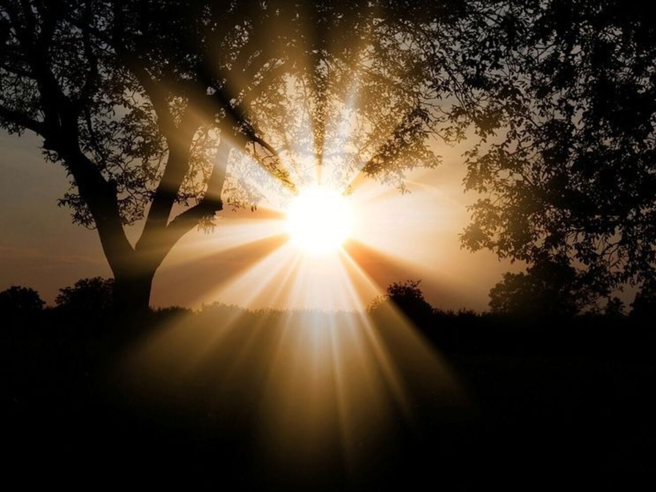 В Украине потеплеет