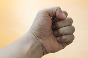 У МВС сподіваються захистити жертв домашньої агресії