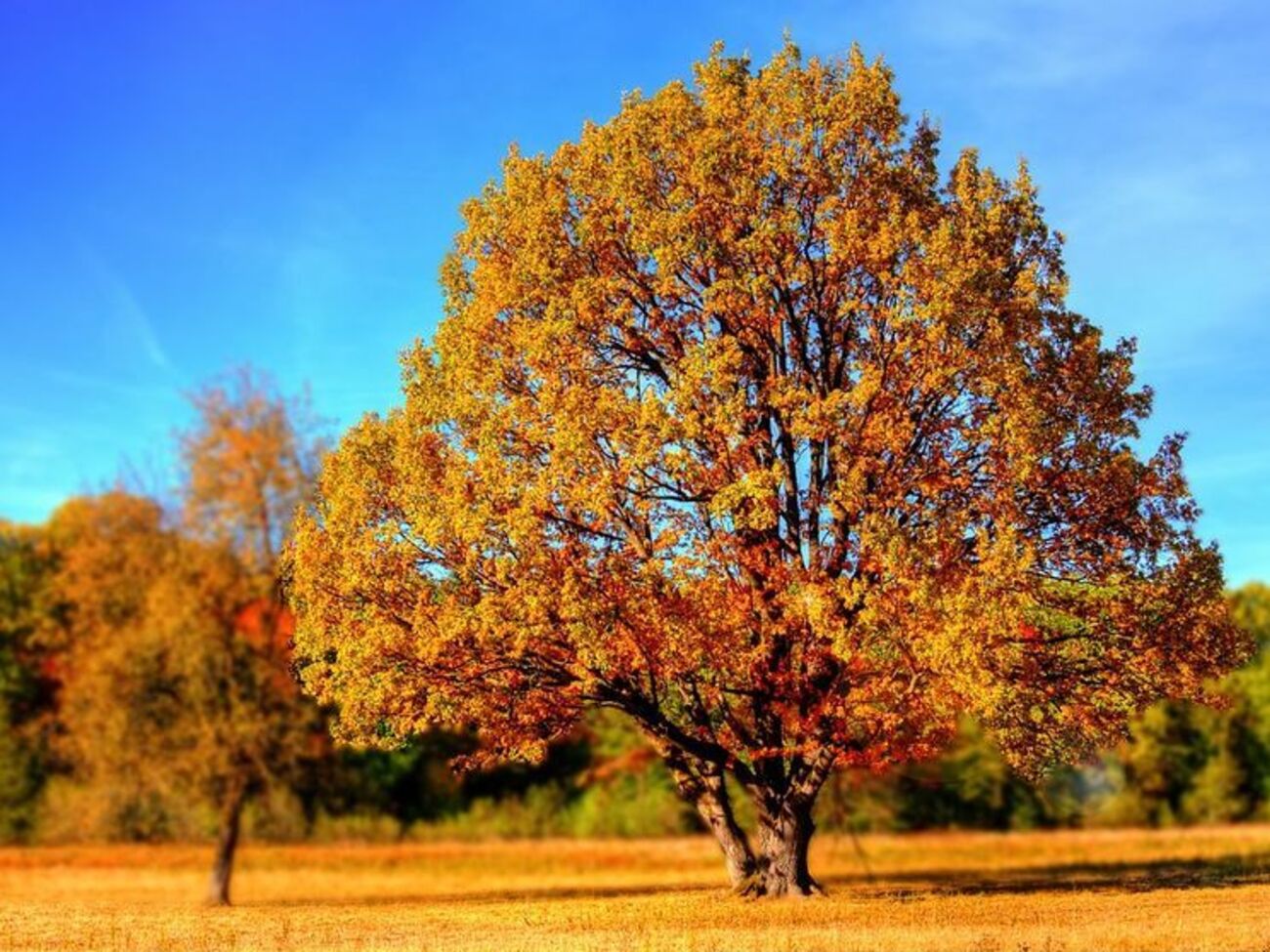 В Україні очікується тепла погода