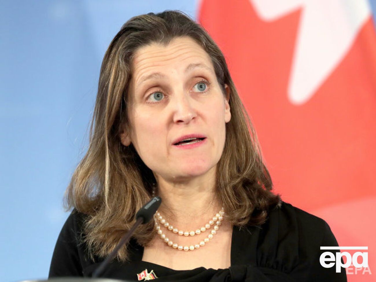 Фриланд сказала, что Канада будет собирать информацию о заболевании Верзилова