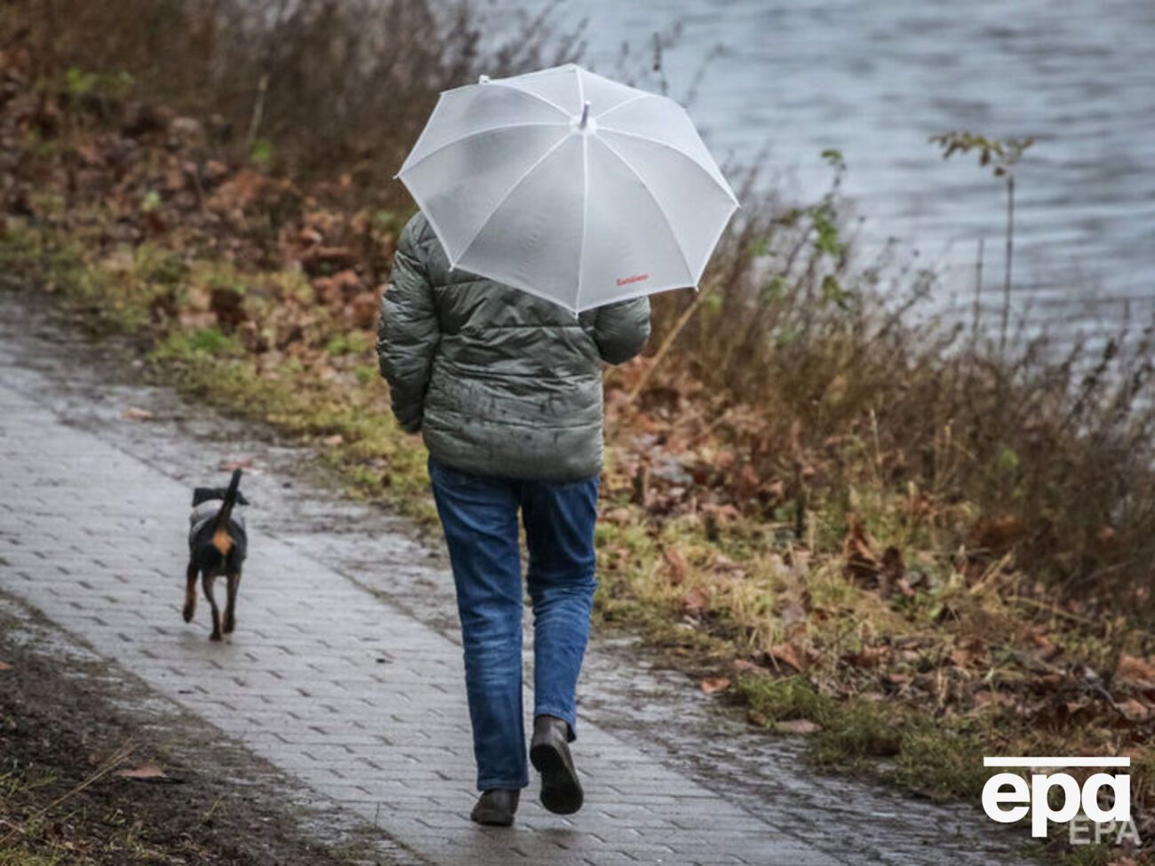 В Україні очікують на дощі
