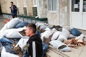 Активисты призвали власти проконтролировать уборку мусора в городе