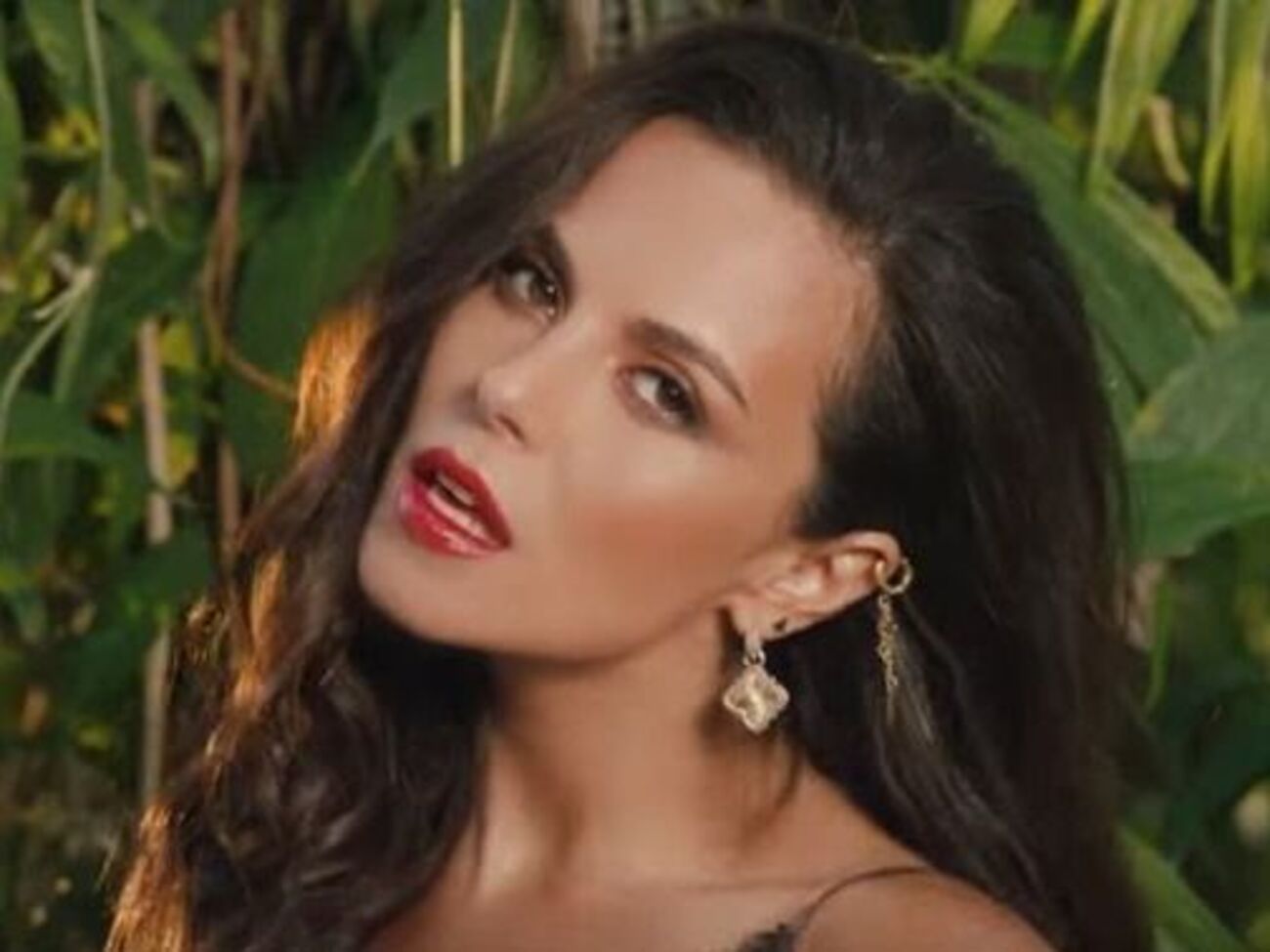 Каменских обвиняют в копировании песни