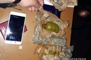 Задержанному с гранатами мужчине грозит до семи лет лишения свободы
