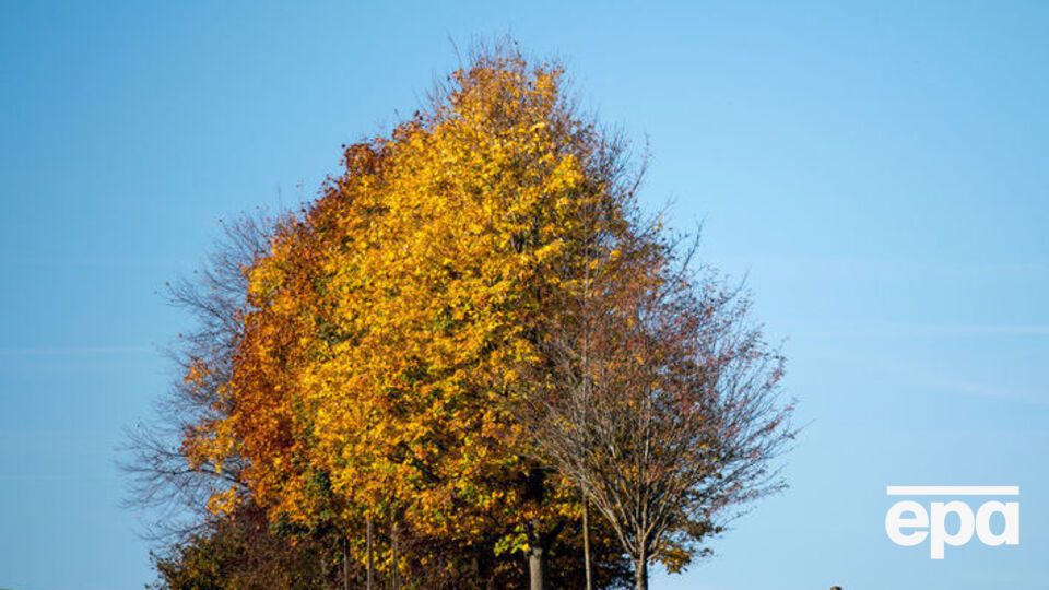 В Україні у п'ятницю потеплішає