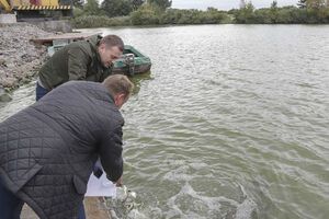 Максим Мартинюк: Рибна галузь має один із найвищих показників потенціалу розвитку в національній економіці
