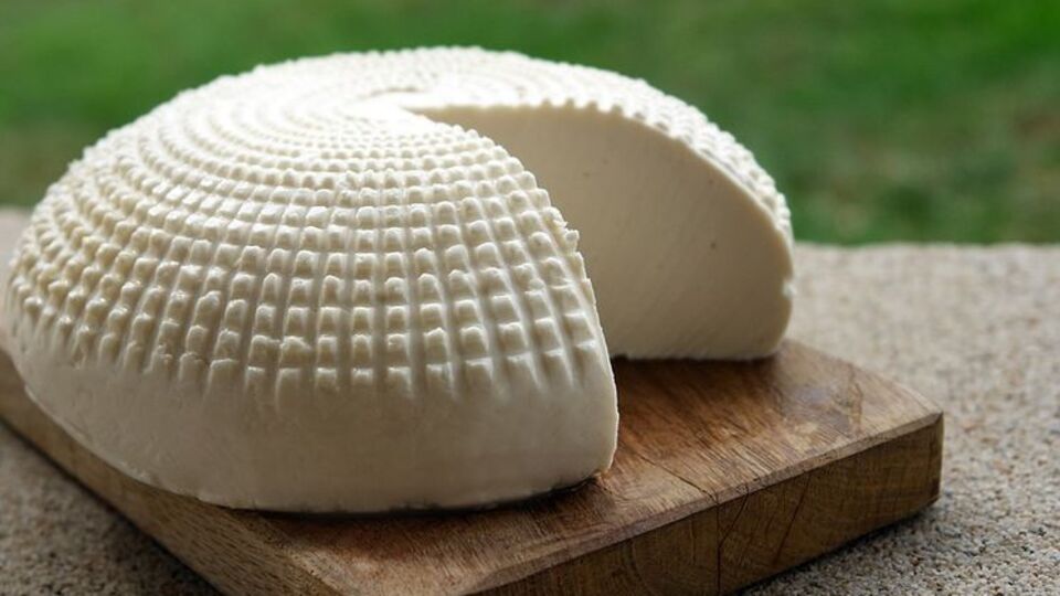 Козий сыр – диетический продукт