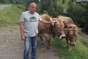 Москаль: Я не должен нравиться всем закарпатцам