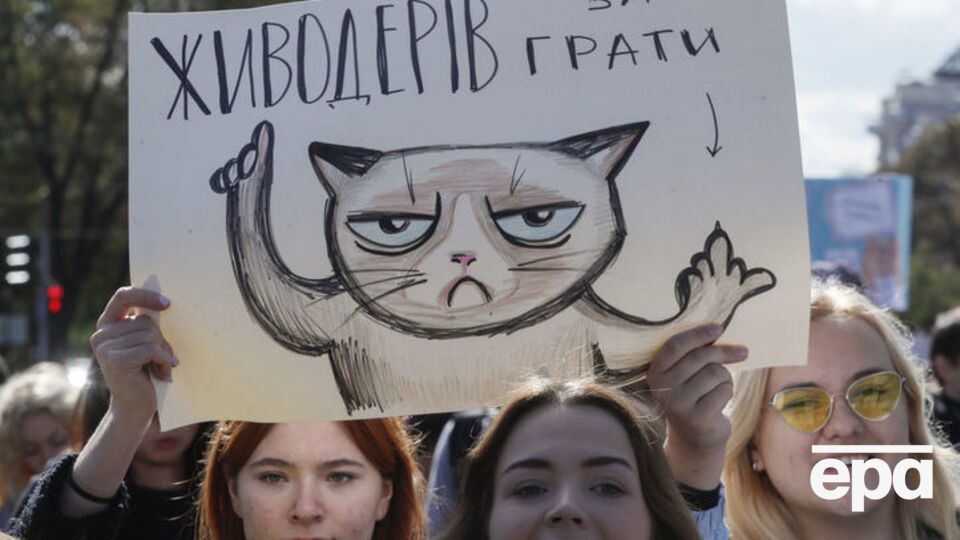 В Киеве требовали защитить права животных