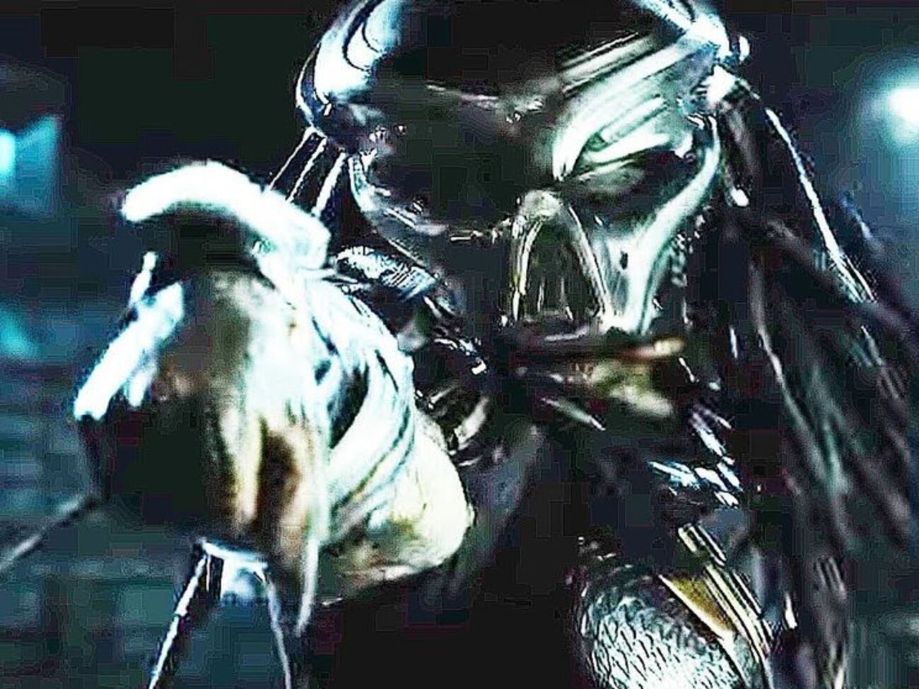 Лента выйдет 14 сентября