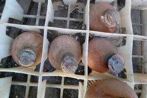 ДСНС вилучила ртуть у Черкасах