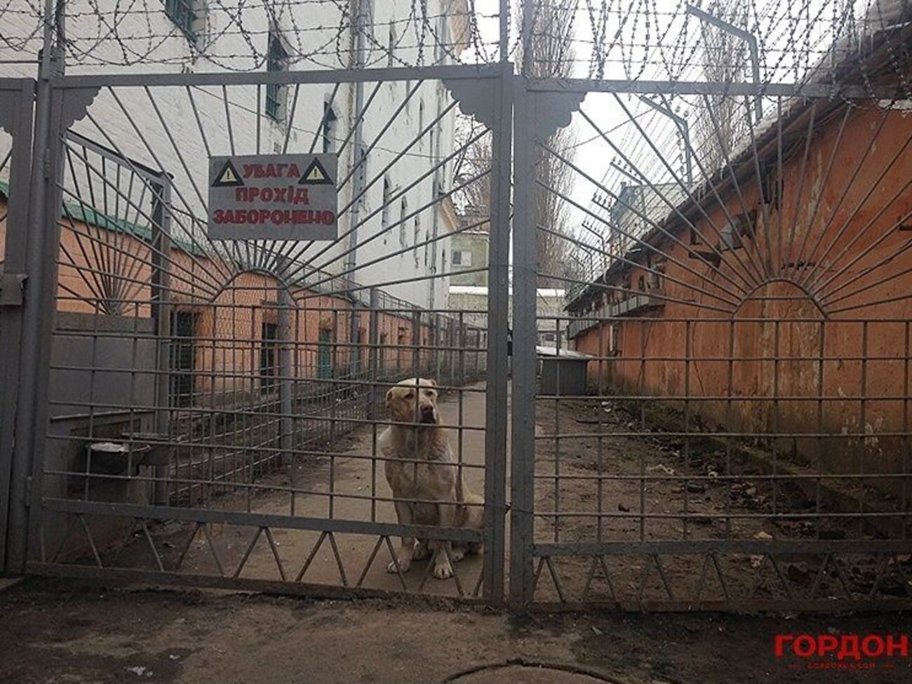 Бунак заявил, что Лукьяновское СИЗО контролировала администрация