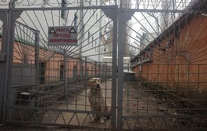 Бунак заявил, что Лукьяновское СИЗО контролировала администрация