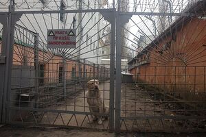 Бунак заявил, что Лукьяновское СИЗО контролировала администрация