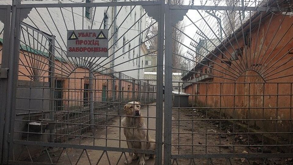 Бунак заявил, что Лукьяновское СИЗО контролировала администрация