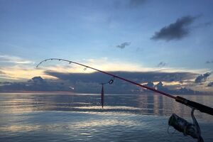 Группа браконьеров находилась в разработке правоохранительных структур