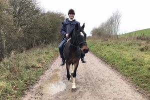 Гросвенор отметил, что его кот "не фанат Джона Майкла Райта и не жалеет о содеянном"