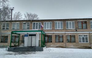 Инцидент произошел 10 января в школе в Сызрани
