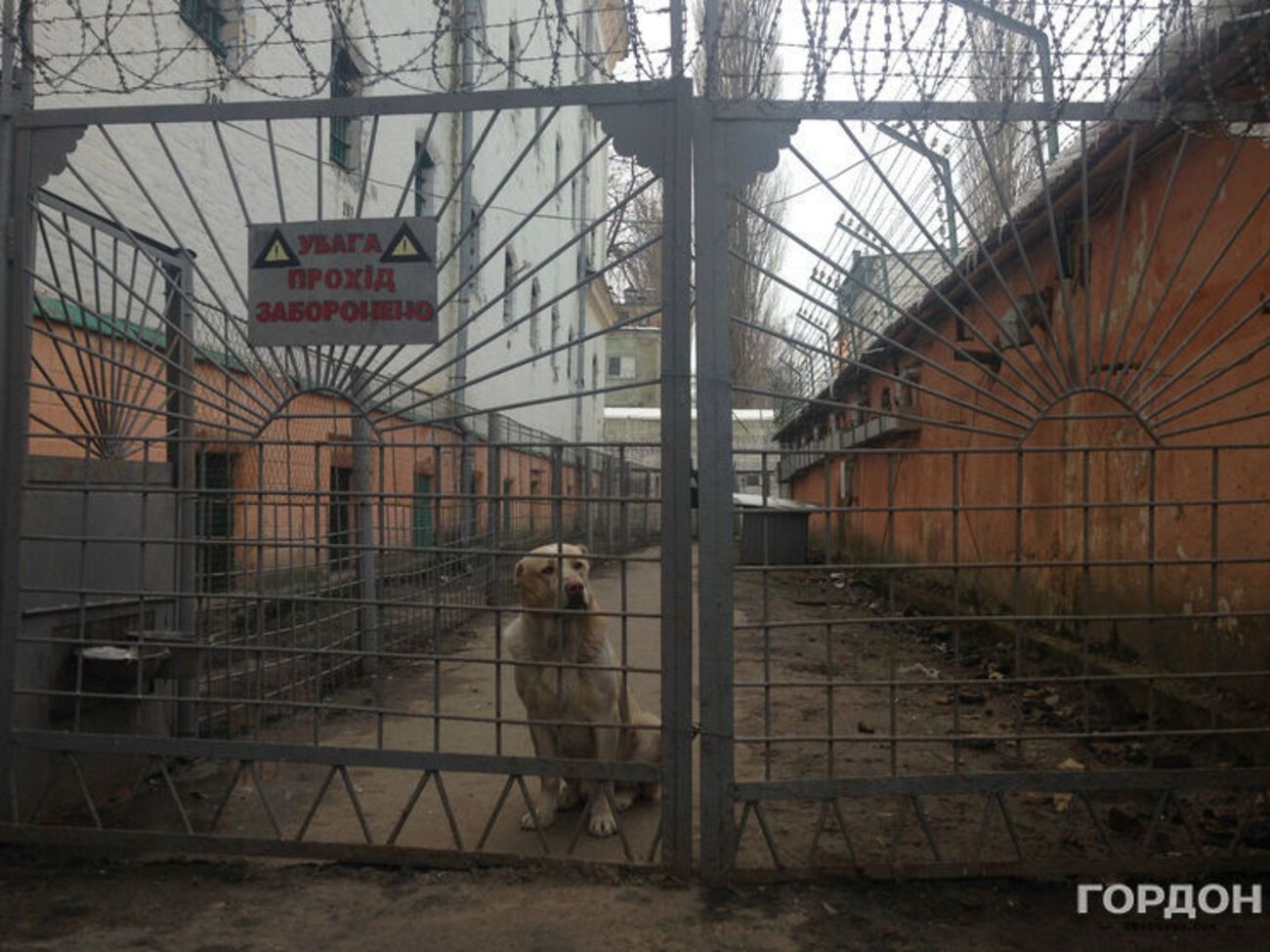 У Лук'янівському СІЗО спалах кору