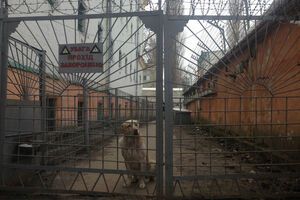 В Лукьяновском СИЗО вспышка кори