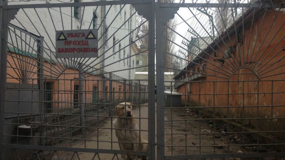 У Лук'янівському СІЗО спалах кору