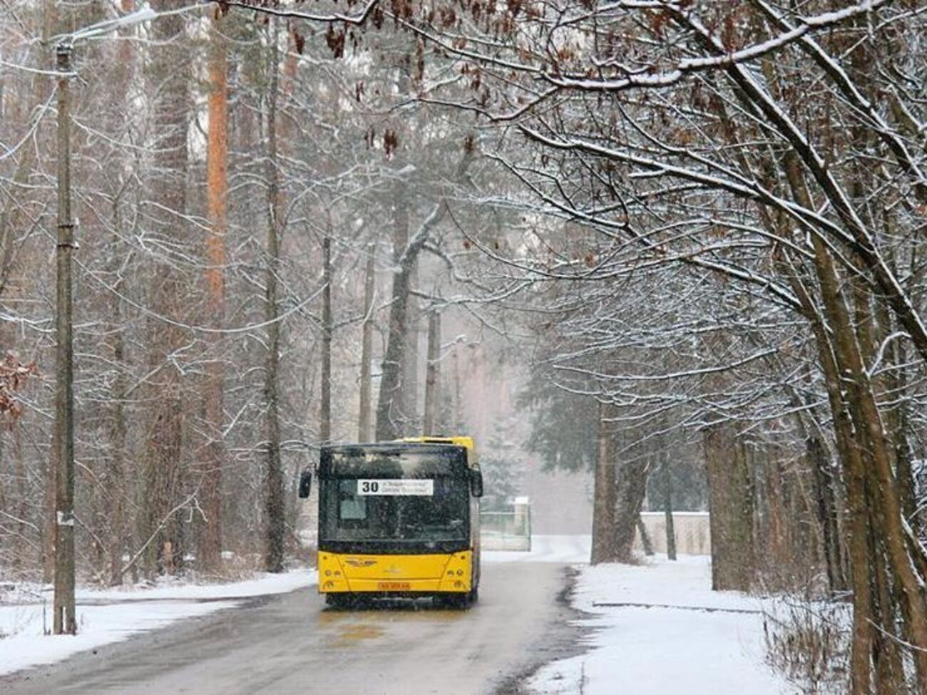"В Киевпастрансе" заявили, что хотят защитить своих&nbsp;пассажиров и сотрудников от агрессивных нарушителей