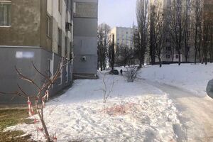 На офіцера поліції біля під'їзду напало двоє невідомих у балаклавах