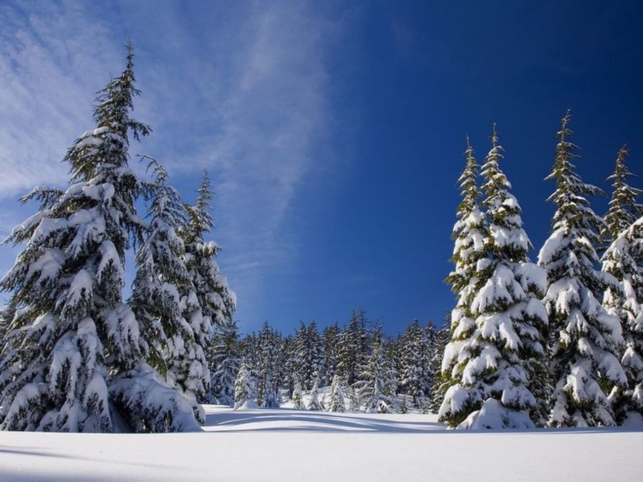 Завтра в большинстве областей Украины будет -2&hellip;-7 &deg;С, на юге&nbsp;&ndash; до&nbsp;+6 &deg;С