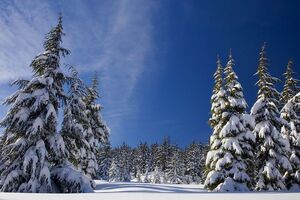 Завтра в большинстве областей Украины будет -2…-7 °С, на юге – до +6 °С