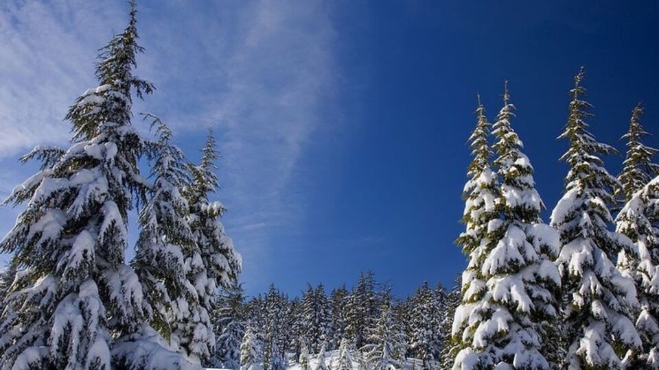 Завтра в більшості областей України буде -2...-7 °С, на півдні – до +6 °С