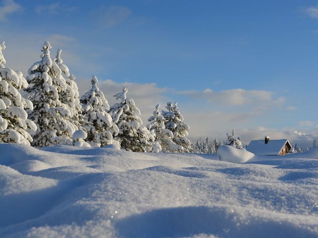 Синоптик сообщила, что 23 января в Украине изменится погода