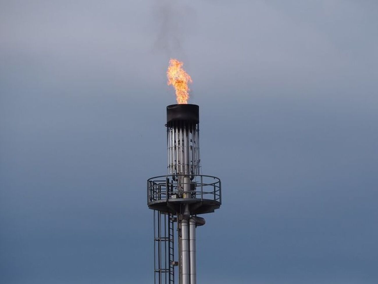 Пинзеник: За логікою "Нафтогазу", в ціну перевезення пасажирів у таксі треба було б включати вартість авто