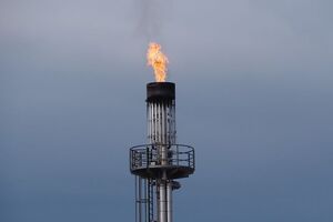 Пинзеник: По логике "Нафтогазу", в цену перевозки пассажиров в такси надо было бы включать стоимость авто