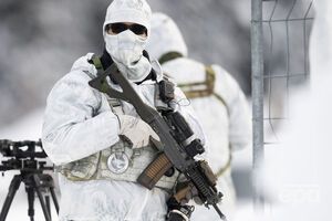 Снайпери в снігу. У Давосі за посилених заходів безпеки починається економічний форум. Фоторепортаж