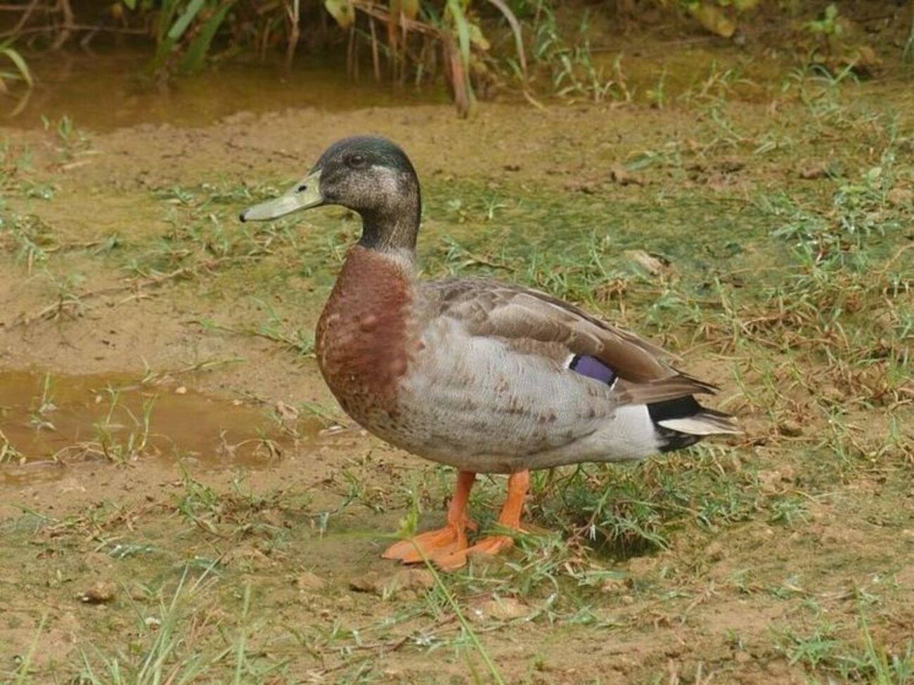 Тревор попал на Ниуэ после сильного шторма