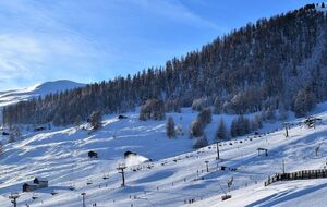 Інцидент стався 2 січня