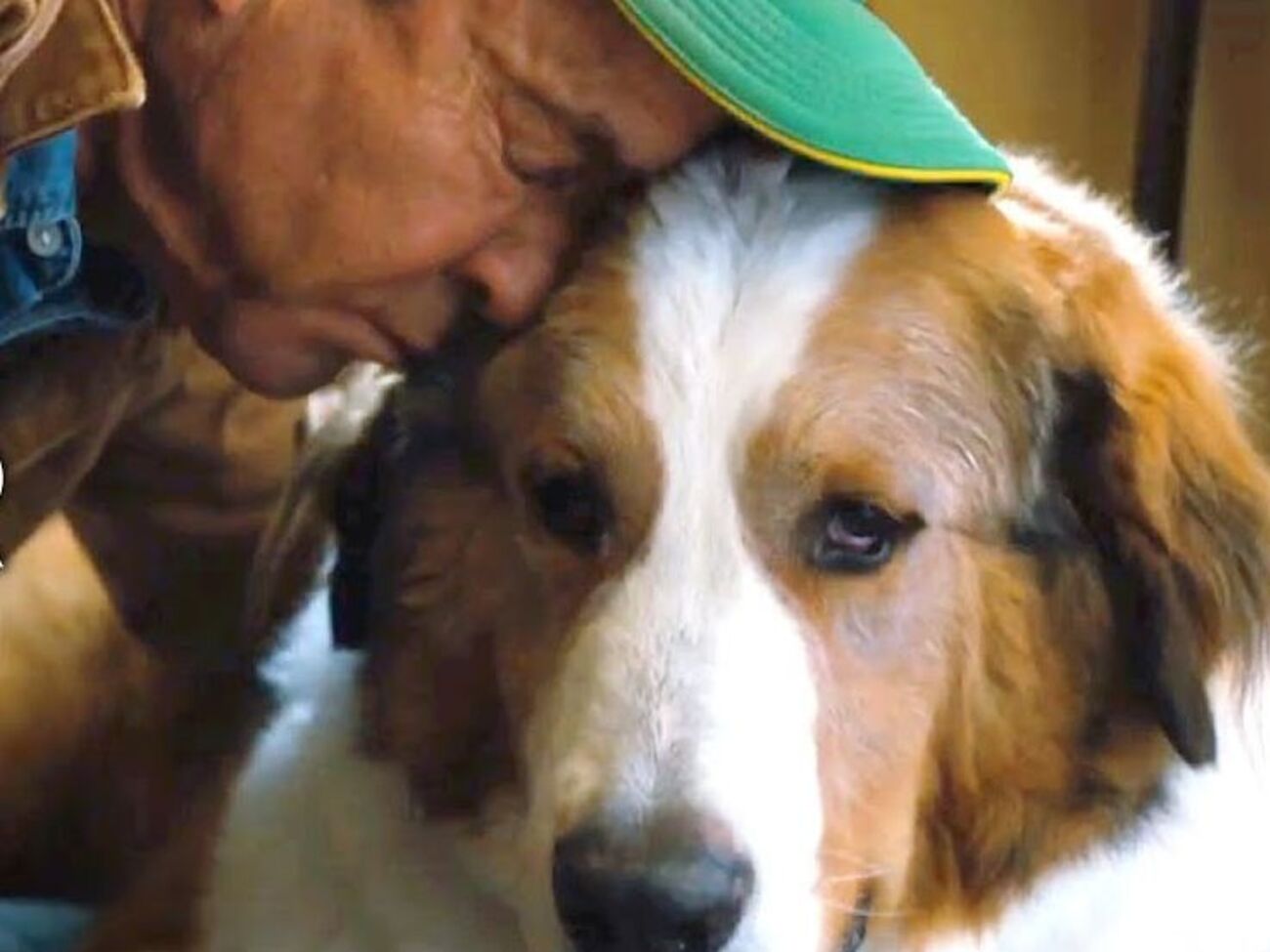 Премьера фильма назначена на 17 мая