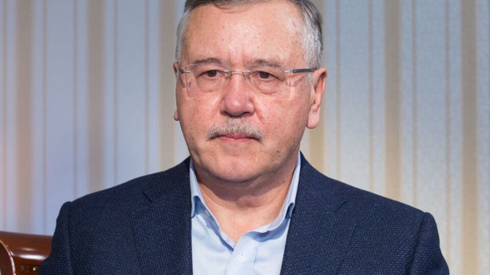 Гриценко про Тимошенко: Актриса. Знімаю капелюха... Мені так не дано