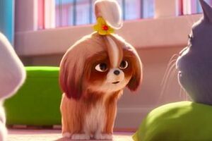 У трейлері показано знайомство Дейзі зі Сноуболлом і Хлоєю