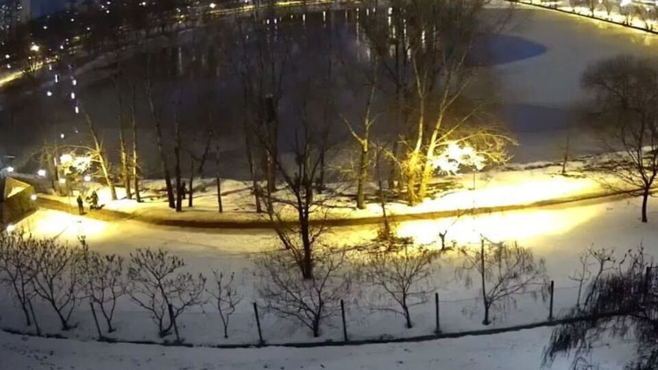 Инцидент произошел на озере Тельбин в Киеве