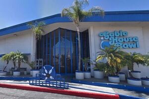 Сообщения о выстрелах поступили из кегельбана Торранса