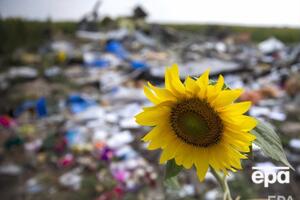 Рейс МН17 потерпел крушение 17 июля 2014 года вблизи Тореза Донецкой области, погибло 298 человек