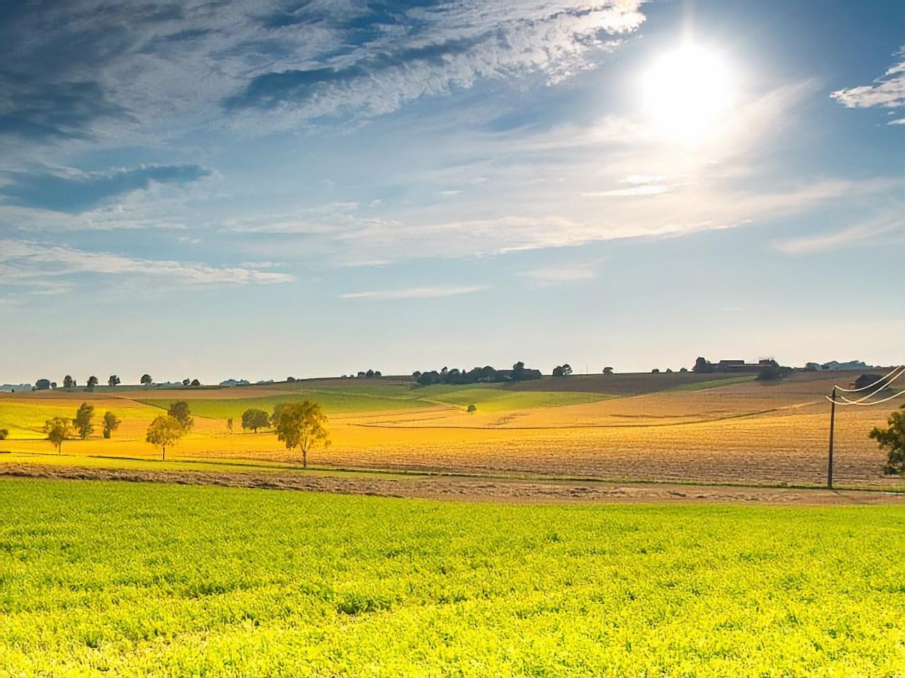 Мораторий на продажу земель сельскохозяйственного назначения действует в Украине с 2002 года