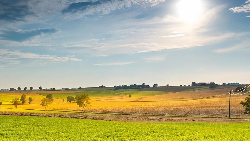 Мораторий на продажу земель сельскохозяйственного назначения действует в Украине с 2002 года